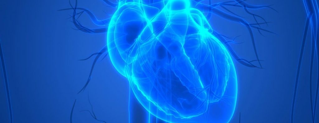 عوارض آنژیوگرافی قلب خطرات آنژیو قلب از دست و یا پا